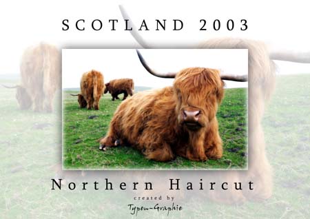 Northern Haircut