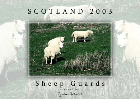 Sheep Guards